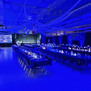 Licht-, Ton- und Videotechnik. Sichtschutz durch mobiles, selbststehendes Vorhangsystem (3.3m hoch, 32 Einheiten a 3.3m Länge). Lichtdeckoration mit 50 LED Schweinwerfern an der Inthronisation in der Emil Frey Halle in Ebikon Luzern 2019/2020/2021/2024